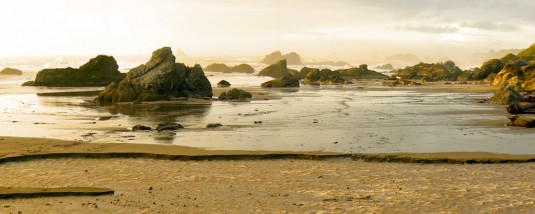 Harris State Beach near the time of sunset, with scattered crags and rocks covered in vegetation basked in golden rays