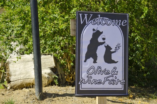Welcome banner to the Olive and Wine Faire with olive oil tasting
