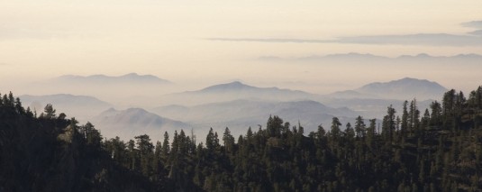 View above the clouds with scattered peaks in the background and a forested ridgeline in the foreground