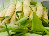 Husking corn