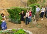Touring the vegetable garden