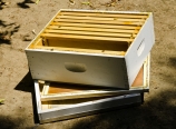 Open hive