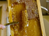 Scraping the honeycomb