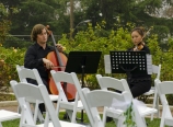 Cello and violin duet