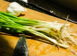 Green onions and garlic