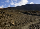 Another false summit