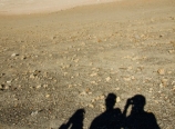 Long shadows