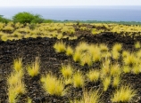Lava plains from the highway turnout
