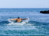 Swimming with the turtles