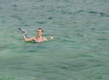 Afternoon snorkel