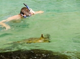 Snorkeling with a turtle