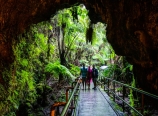 Thurston Lava Tube