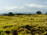 Mauna Kea above the plains
