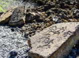 Puako Petroglyphs