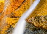 Mehrten Creek