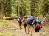 Started hiking