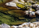 Mickey napping at Precipice Lake