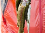 Morning catch