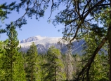 View of Mt. Whitney