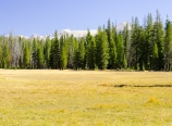 Sky Parlor Meadow