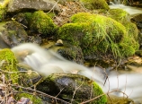 Chagoopa Creek