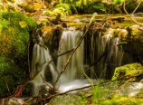 Chagoopa Creek