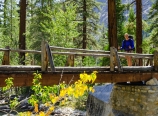 Wayne crossing the footbridge