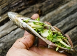 Stuffing the trout