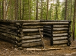 Old sheepherder's cabin