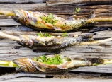 Stuffed trout on sticks