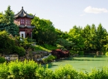 Chinese Garden