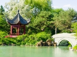 Chinese Garden
