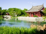 Chinese Garden