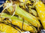 Corn on the cob