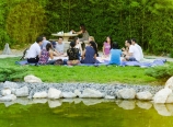 Pondside lawn