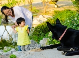 Watched by the dog