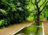 Reflecting pool