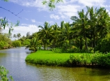 Riverbank