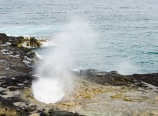 Spouting Horn