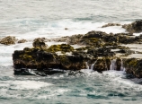 By the Spouting Horn