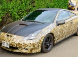 Leopard print car