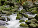 Limahuli Stream