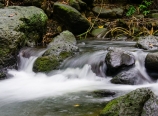 Limahuli Stream