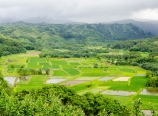 Hanalei Valley
