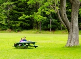 Private picnic in Koke'e