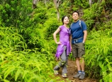 Among the ferns