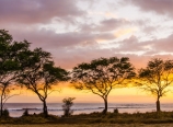 Pod trees at sunset, by the Russian Fort Elizabeth