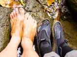 Unshod and shod feet