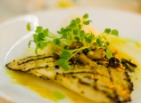 Grilled oho with green curry drizzle