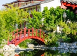 Bridge and pond